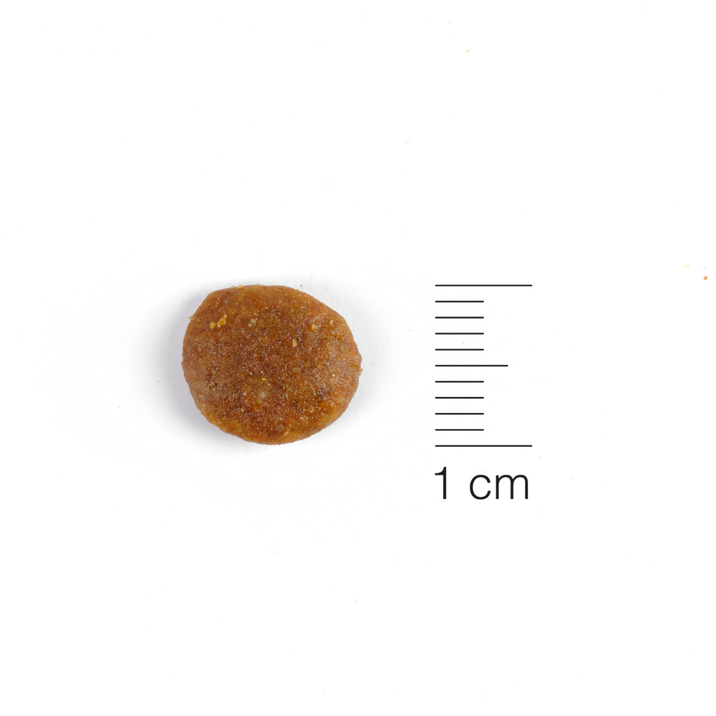 Natura Diet Cat Sterilised Salmon & Vegs